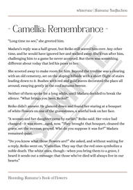 NatsuYuu Blooming Zine