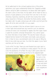 FFXIV Otome Zine - The Caretaker&#39;s Repose